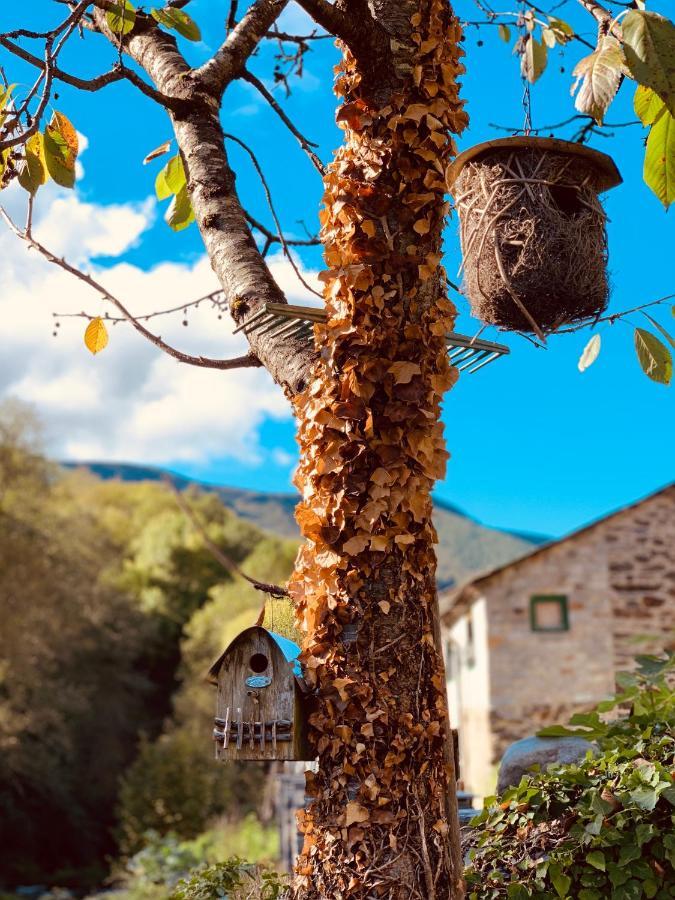 Hotel Xana Cecos Dış mekan fotoğraf